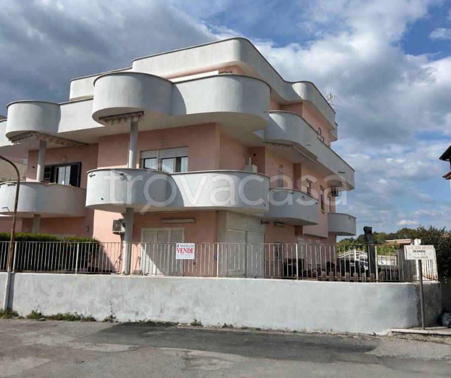 appartamento in vendita a Nettuno