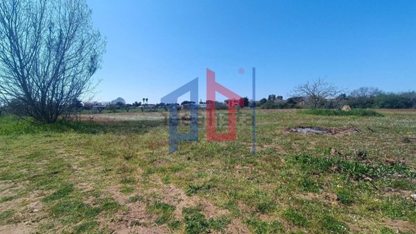 casa indipendente in vendita a Nettuno