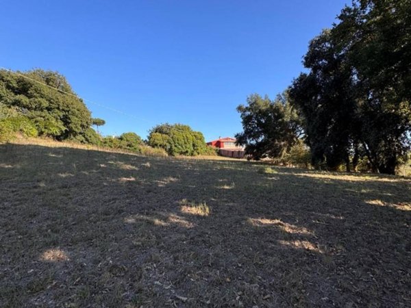 terreno agricolo in vendita a Nettuno