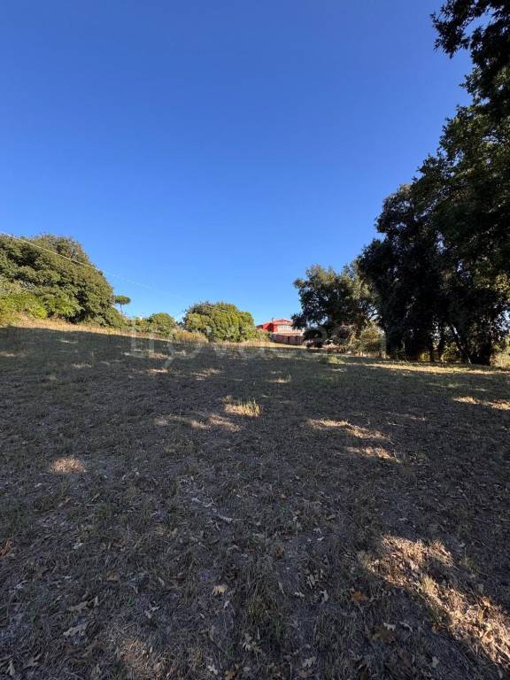 terreno agricolo in vendita a Nettuno