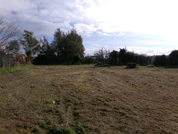 terreno agricolo in vendita a Nettuno