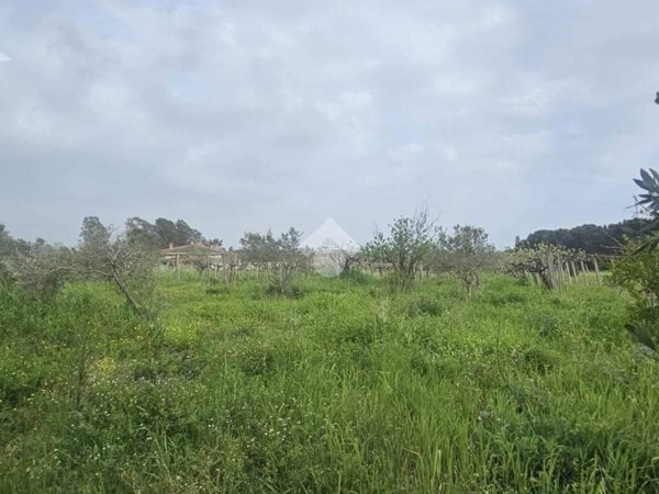 terreno agricolo in vendita a Nettuno