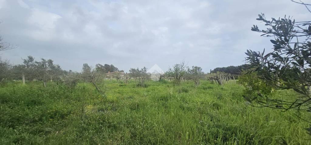 terreno agricolo in vendita a Nettuno