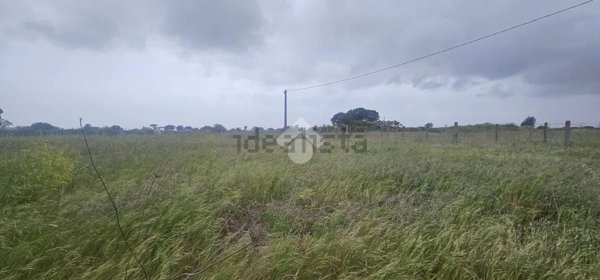 terreno agricolo in vendita a Nettuno
