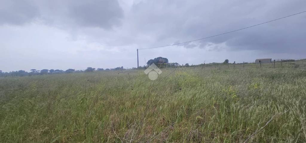 terreno agricolo in vendita a Nettuno