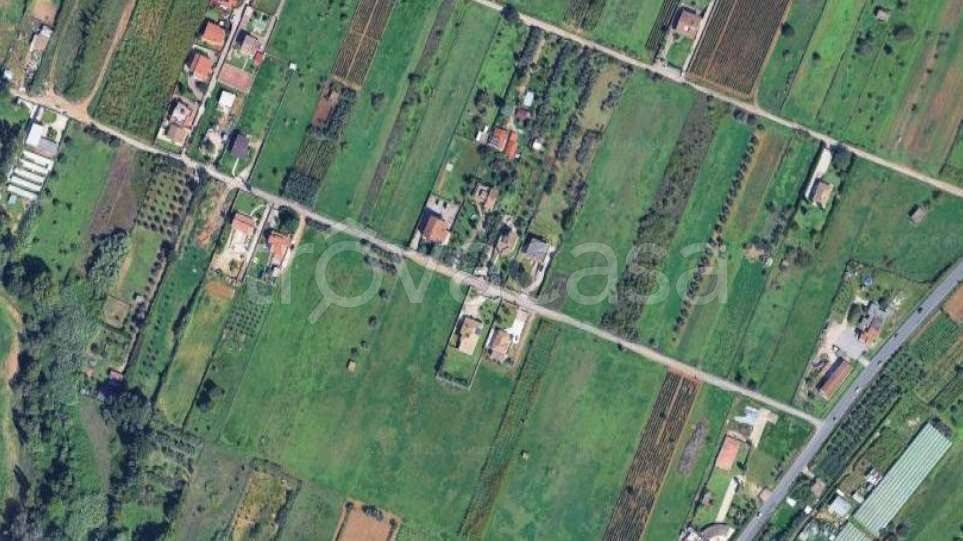 terreno agricolo in vendita a Nettuno