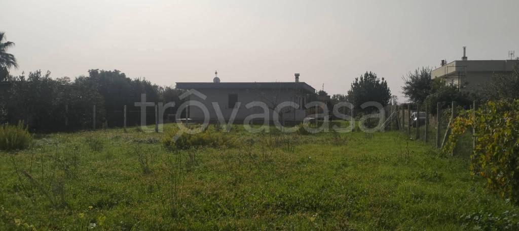 terreno agricolo in vendita a Nettuno