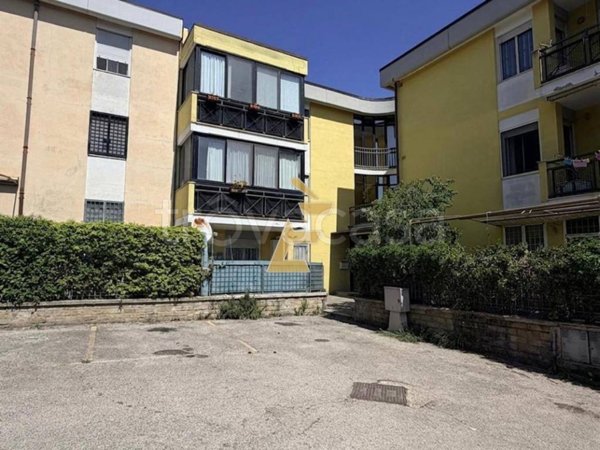 appartamento in vendita a Nettuno