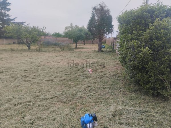 terreno edificabile in vendita a Nettuno