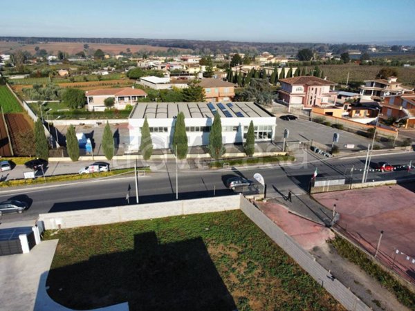 negozio in vendita a Nettuno