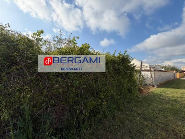 terreno agricolo in vendita a Nettuno