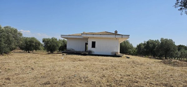 casa indipendente in vendita a Nettuno