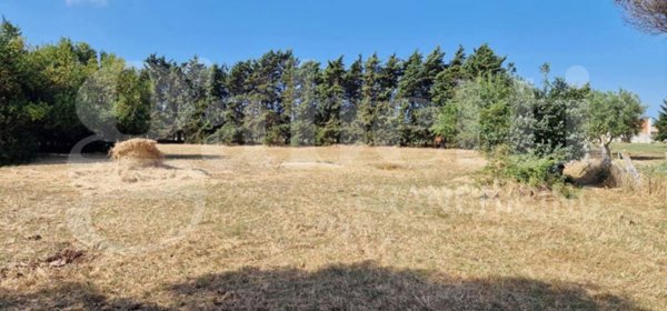 terreno agricolo in vendita a Nettuno