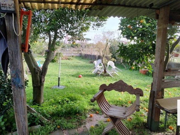 negozio in vendita a Nettuno