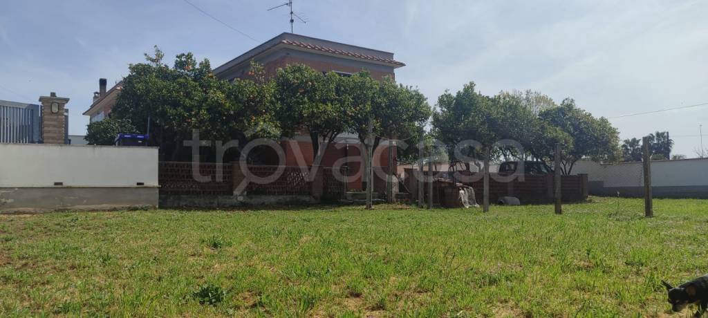casa indipendente in vendita a Nettuno