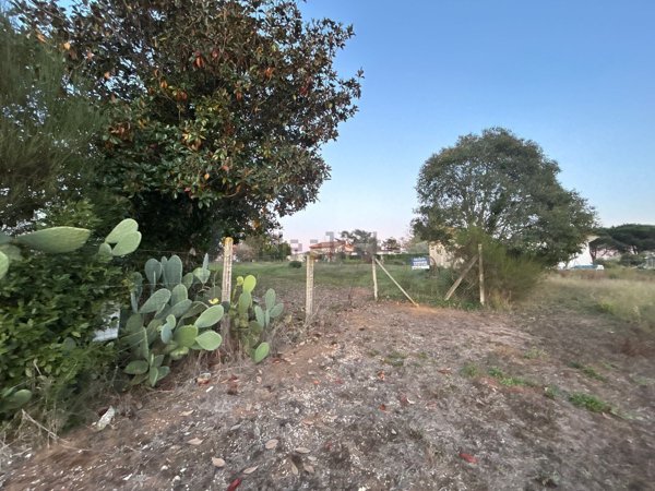 appartamento in vendita a Nettuno