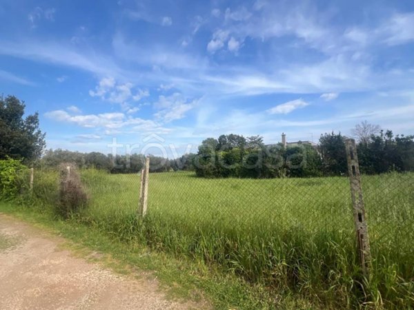 terreno agricolo in vendita a Nettuno
