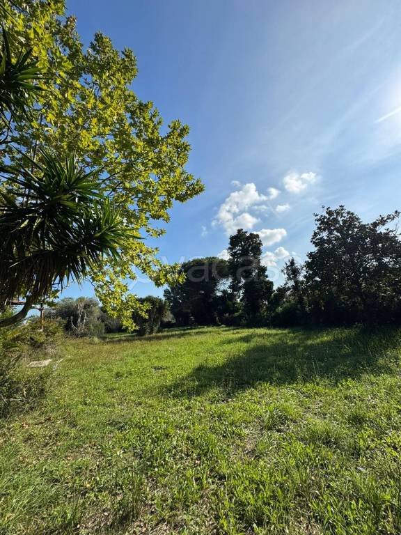 terreno agricolo in vendita a Nettuno
