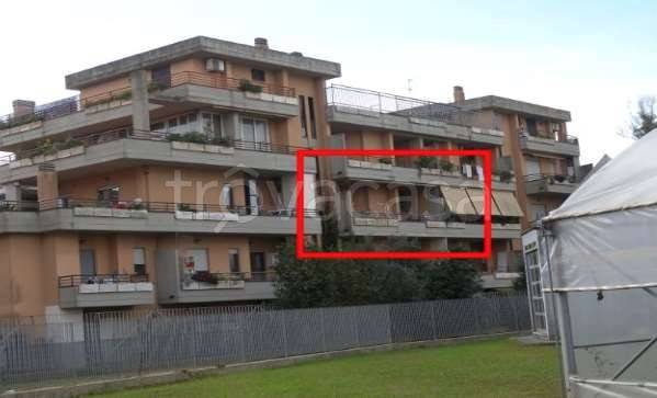 appartamento in vendita a Nettuno