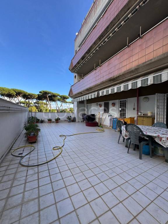 appartamento in vendita a Nettuno