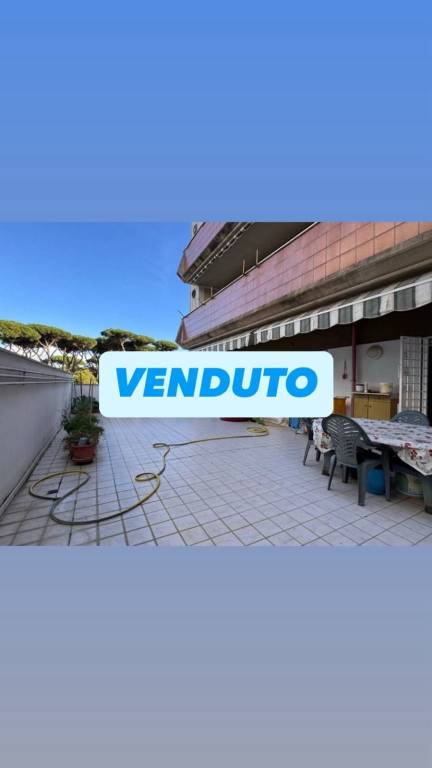 appartamento in vendita a Nettuno
