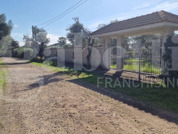 terreno agricolo in vendita a Nettuno