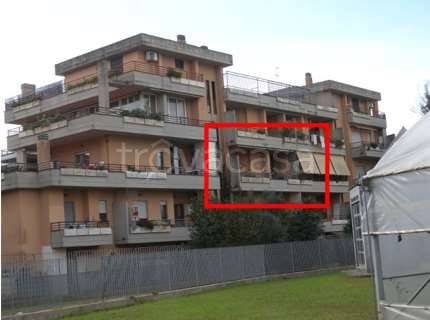 appartamento in vendita a Nettuno