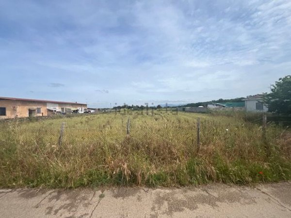 terreno agricolo in vendita a Nettuno