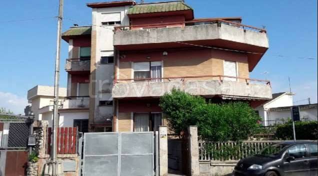 appartamento in vendita a Nettuno