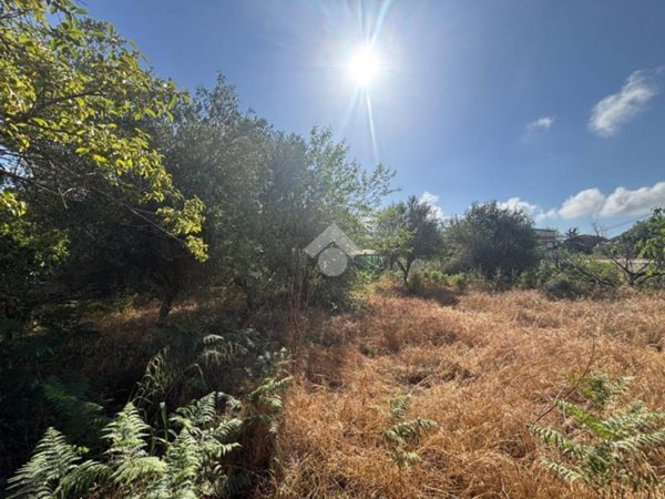 terreno agricolo in vendita a Nettuno