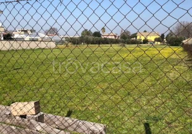 terreno agricolo in vendita a Nettuno