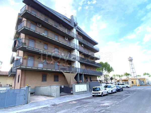appartamento in vendita a Nettuno