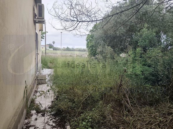 appartamento in vendita a Nettuno