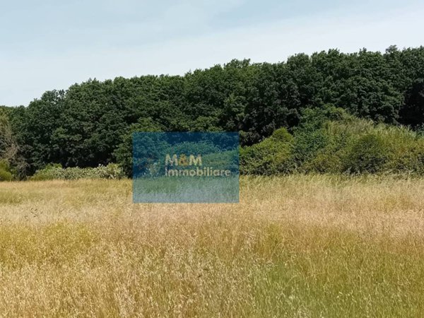 ufficio in vendita a Nettuno