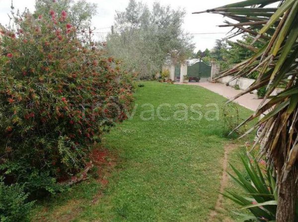 casa indipendente in vendita a Nettuno