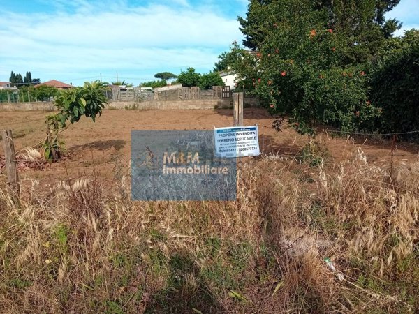 casa indipendente in vendita a Nettuno