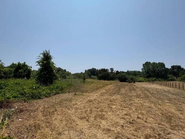 terreno agricolo in vendita a Nettuno