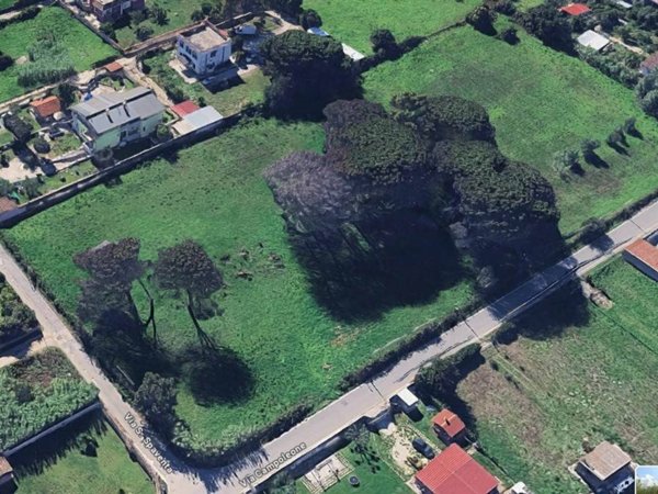 negozio in vendita a Nettuno
