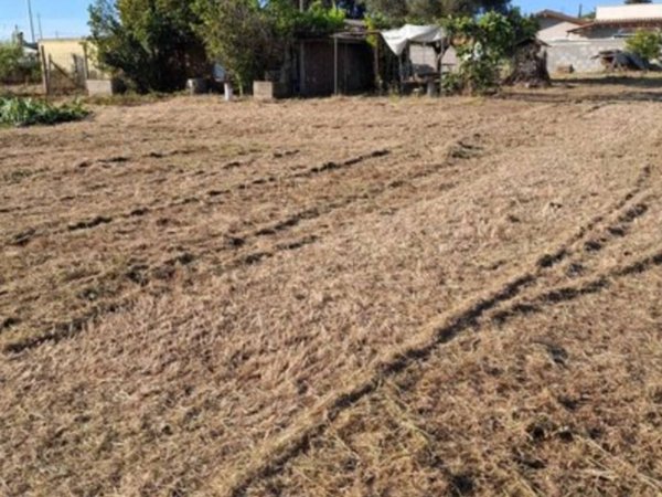 terreno agricolo in vendita a Nettuno in zona Padiglione
