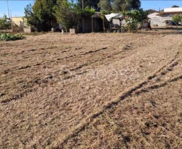 terreno agricolo in vendita a Nettuno