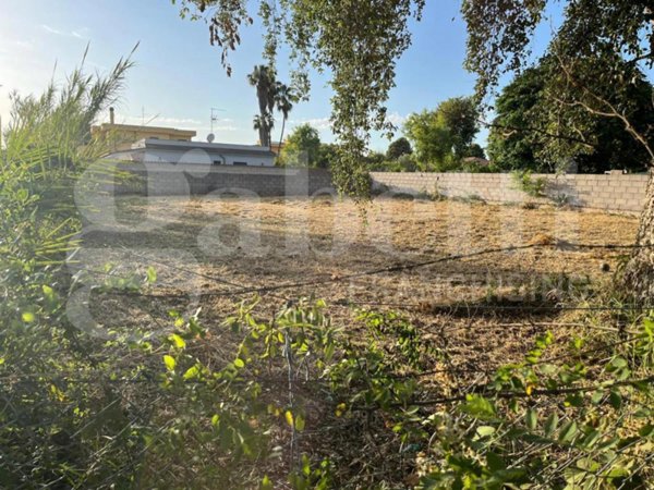 casa indipendente in vendita a Nettuno