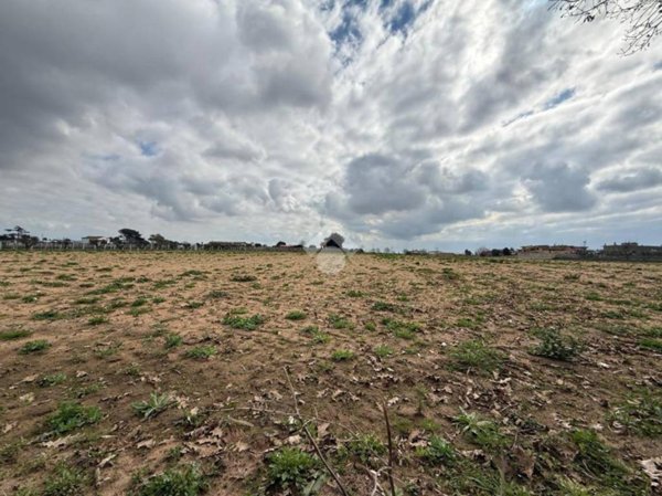 terreno in vendita a Nettuno