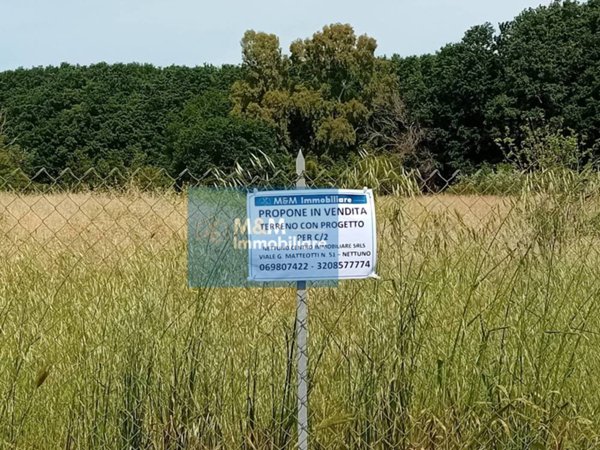 ufficio in vendita a Nettuno