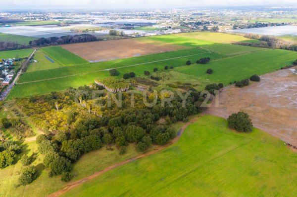 terreno agricolo in vendita a Nettuno