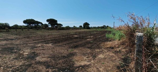 terreno agricolo in vendita a Nettuno