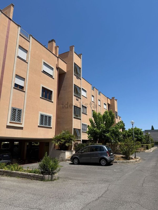 appartamento in vendita a Nettuno