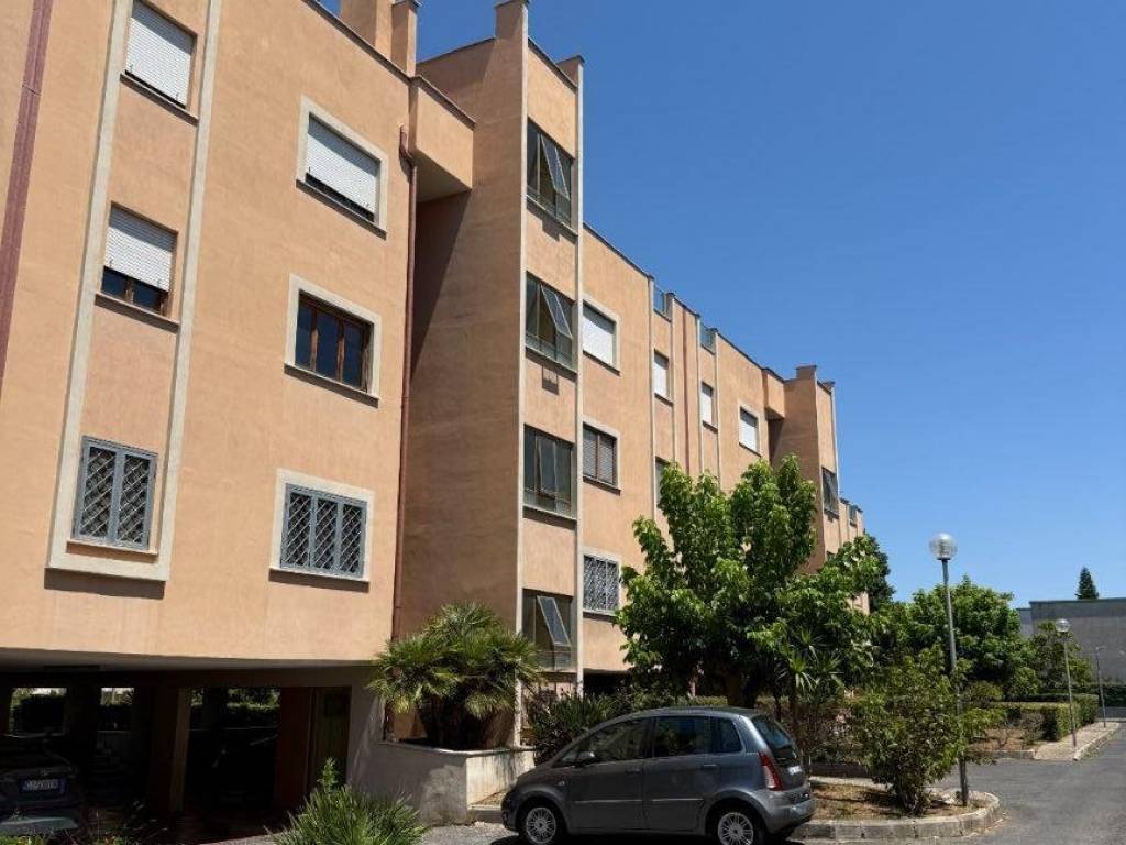 appartamento in vendita a Nettuno