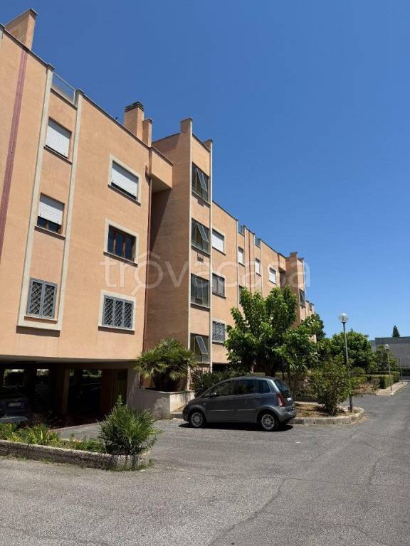 appartamento in vendita a Nettuno