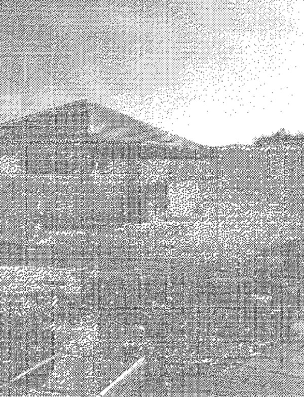 casa indipendente in vendita a Nettuno in zona Padiglione