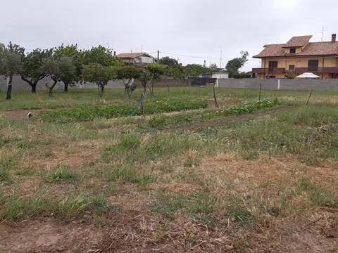 terreno agricolo in vendita a Nettuno